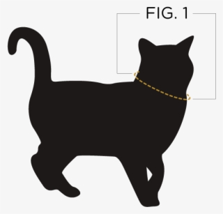 Take The Tape Measure And Wrap It Around Your Cats - Christmas Poisons For Pets