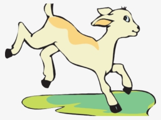 Cartoon Baby Goat