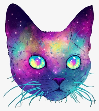 Cat Galaxy