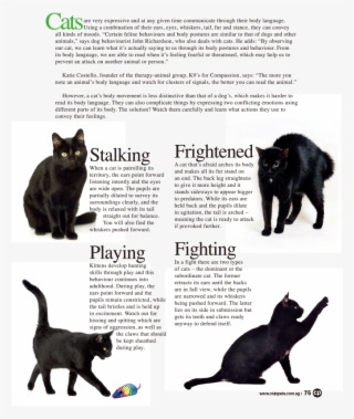 Clubpets - Issue - Rwby Anime Wall Print Poster Decor 24x18