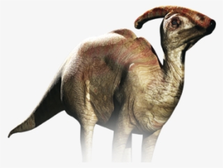 Dinosaur