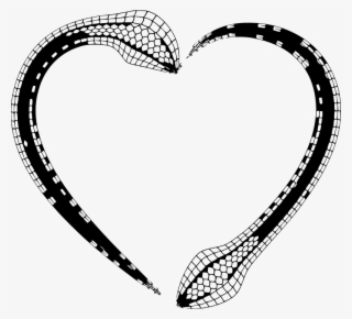 Snake Skin Frame - Snakes