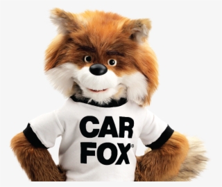 Carfax Dog