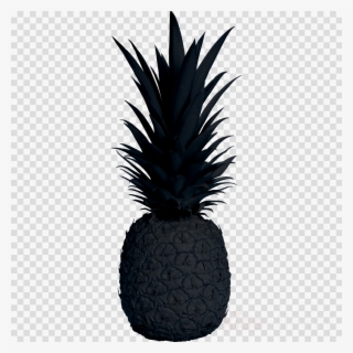 Pineapple - Spring Flower Transparent Background Black