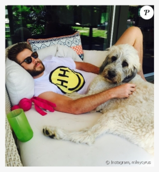 Miley Cyrus A Publié Une Photo De Son Chéri Liam Hemsworth - Liam Hemsworth And Dogs