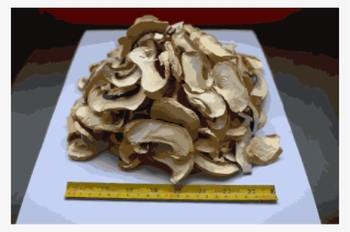 This Free Icons Png Design Of Chinese Factory Directly