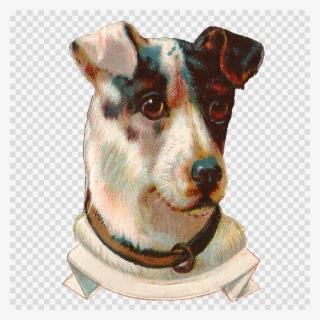 Terrier Clipart Smooth Fox Terrier Jack Russell Terrier - Terrier