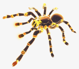 Neon Glowing Fire Spider
