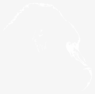 Gorillas Of The Rift