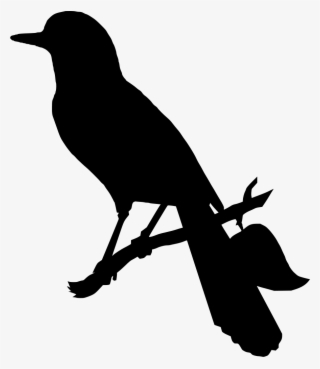 Download Png