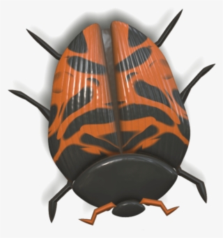 Ladybug Orange And Black Head Down - Ladybird Beetle