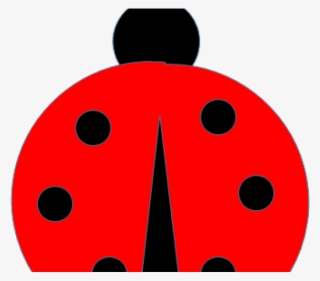 Are Ladybugs Is A Good Luck Or Bad Luck