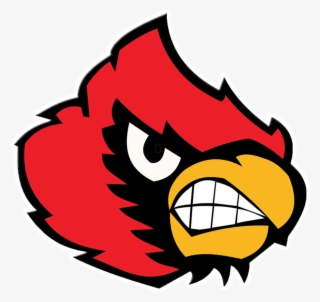 Cardinal Bird Png