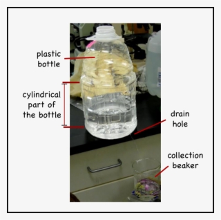 Procedure