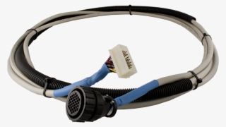 Setting Table Cable Assembly