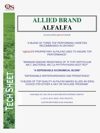 Allied Brand Alfalfa - Alfalfa