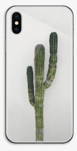 Mexican Cactus - Iphone Xs