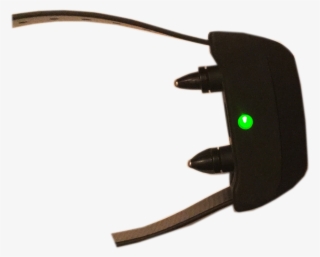 Electronic Collars Work - Hunting Dog