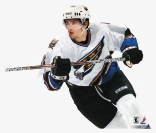 24qr393 - Nhl 07 Cover