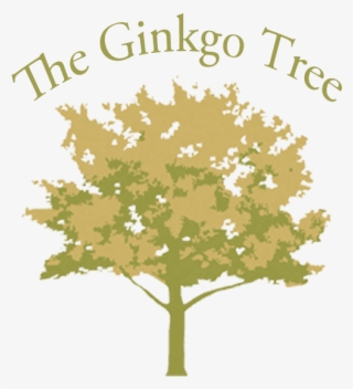 The Ginkgo Tree - Maidenhair Tree