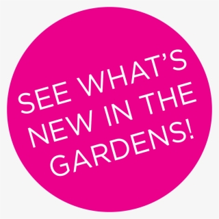 Take A Look At What's Going On In The Gardens This