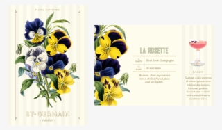 Flower Pres-04 - Pansy Botanical Print