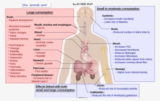 Help For Health Anxiety - Long Term Effects Of Alcohol