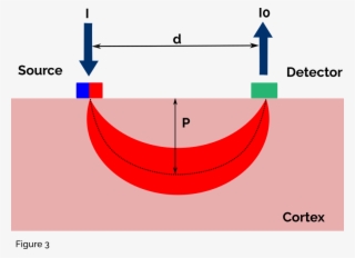 Newmanbrain Fnir Brainspy 28 Functional Near-infrared