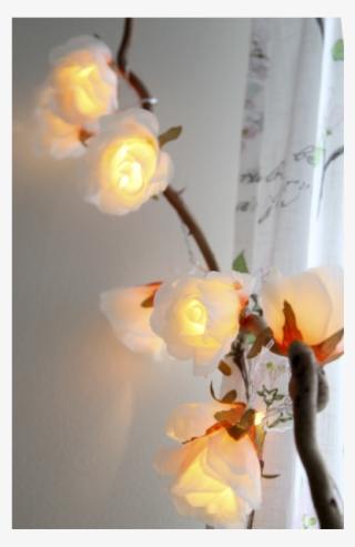 Light Chain Rosa - Star 1.75 M Big Roses Led Light Chain With Timer, Warm