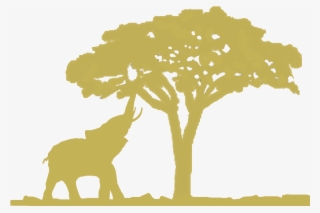 Come And Explore With Us The Enchantment That Is Maniago's - Silhouette