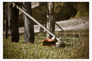 String Trimmer