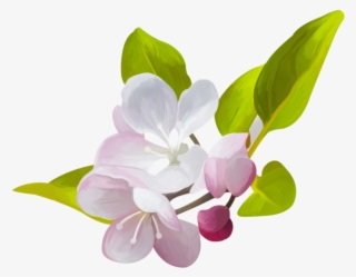 Скрап Набор «hello Spring» - Цветущая Яблоня На Прозрачном Фоне