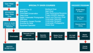 Our Learn To Dive Programs Are Listed Below - Padi Dive Courses