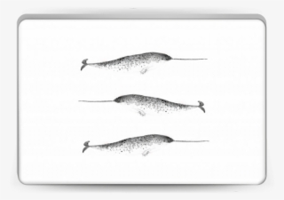 Narwhale Skin Laptop
