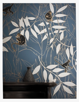 Monkeys Before Dawn Half Full - Spider Monkey Monkeys Before Dawn