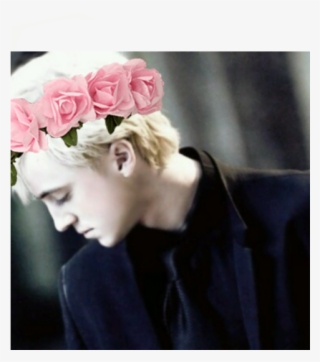 Draco Malfoy, Harry Potter, And Tom Felton Image - Draco Malfoy Sixth Year