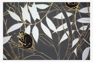 Monkeys At Midnight Half Full - Spider Monkey Monkeys Before Dawn