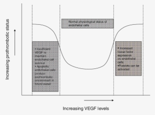 Relationship Between Vegf Concentration And Prothrombotic