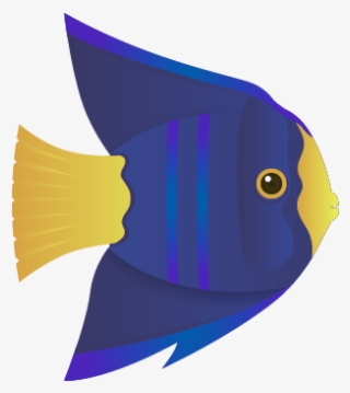 Angelfish