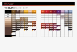 Color Swatch Chart Color Xg - John Paul Mitchell Systems