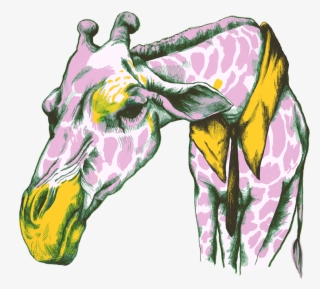 Personal Project For A Poster "cherry Blossom Love - Illustration