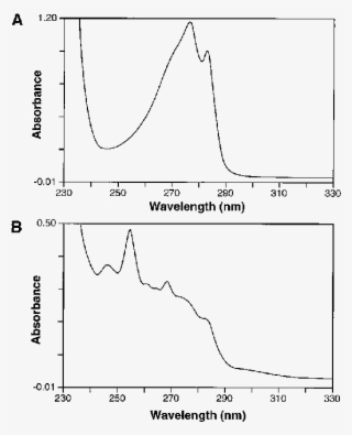 Before Removal Of Triton X - Diagram
