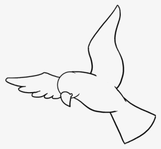 How To Draw Bird - Drawing