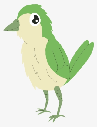Transition Drawing Bird - Songbird