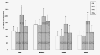 Download - Commercial Building