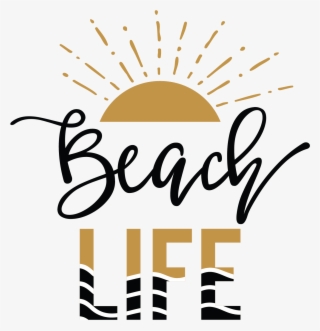 Discover - Top Kitchen Tea Towels