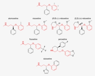 Aryloxypropanamine Scaffold - Congo Red Degradation Mechanism