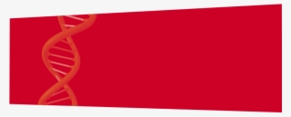 Shieldskin Chem™ Are Multi Layered Gloves Offering - Carmine