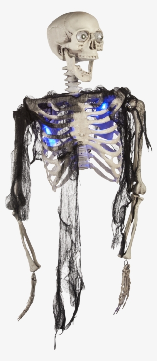 Headband Drawing Skeleton Picture Library Download - Light-up Led Zombie Torso - Decorations & Props