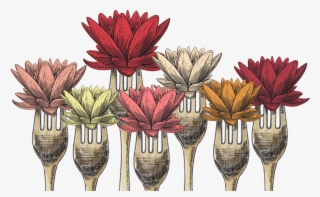 Thank You For A Great Edible Lotus - African Daisy